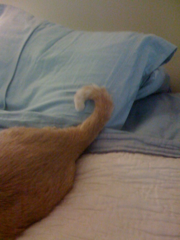 2010 November iPhone photos 030