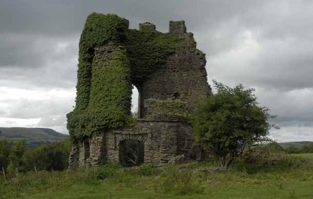The_Ivy_Tower_-_geograph.org.uk_-_226311