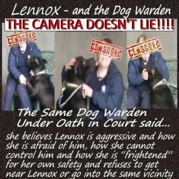 Lennox-Dog-Warden